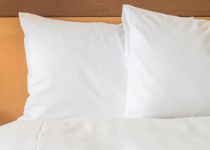 Отель Crowne Plaza Amsterdam Airport Хоофддорп