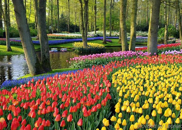 Crowne Plaza Amsterdam Airport 4* Хоофддорп