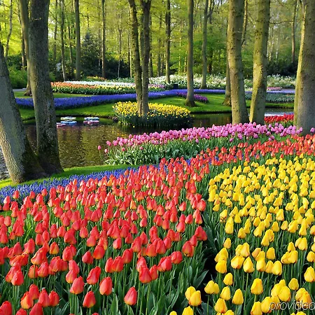 Crowne Plaza Amsterdam Airport 4* Hoofddorp